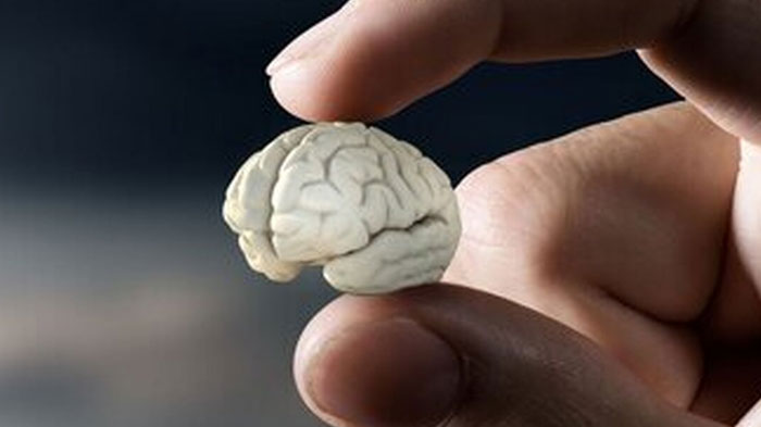 توجه به زمینه ژنتیکی و وراثتی